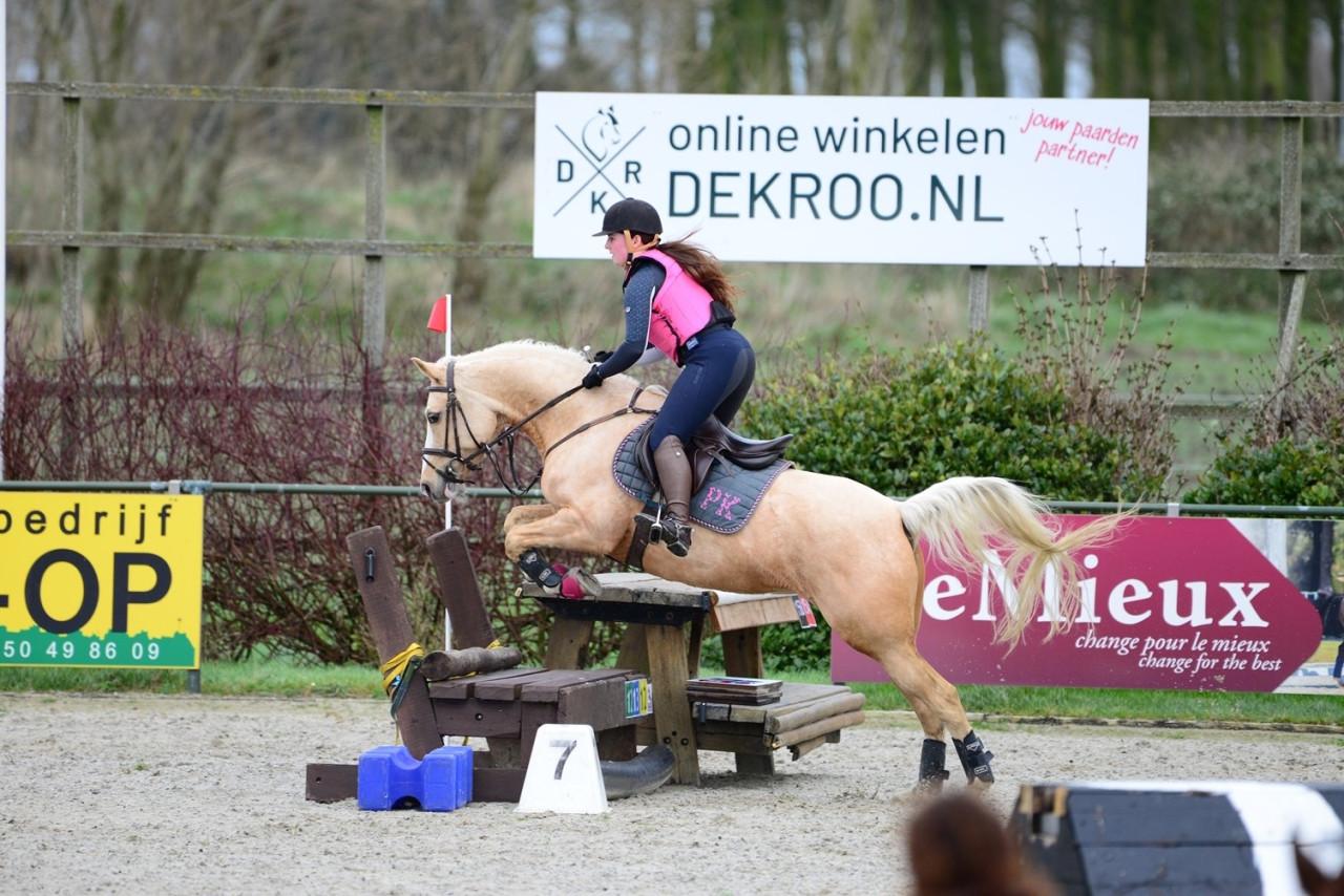 🌟 Te koop: mooie D-palominopony 🌟