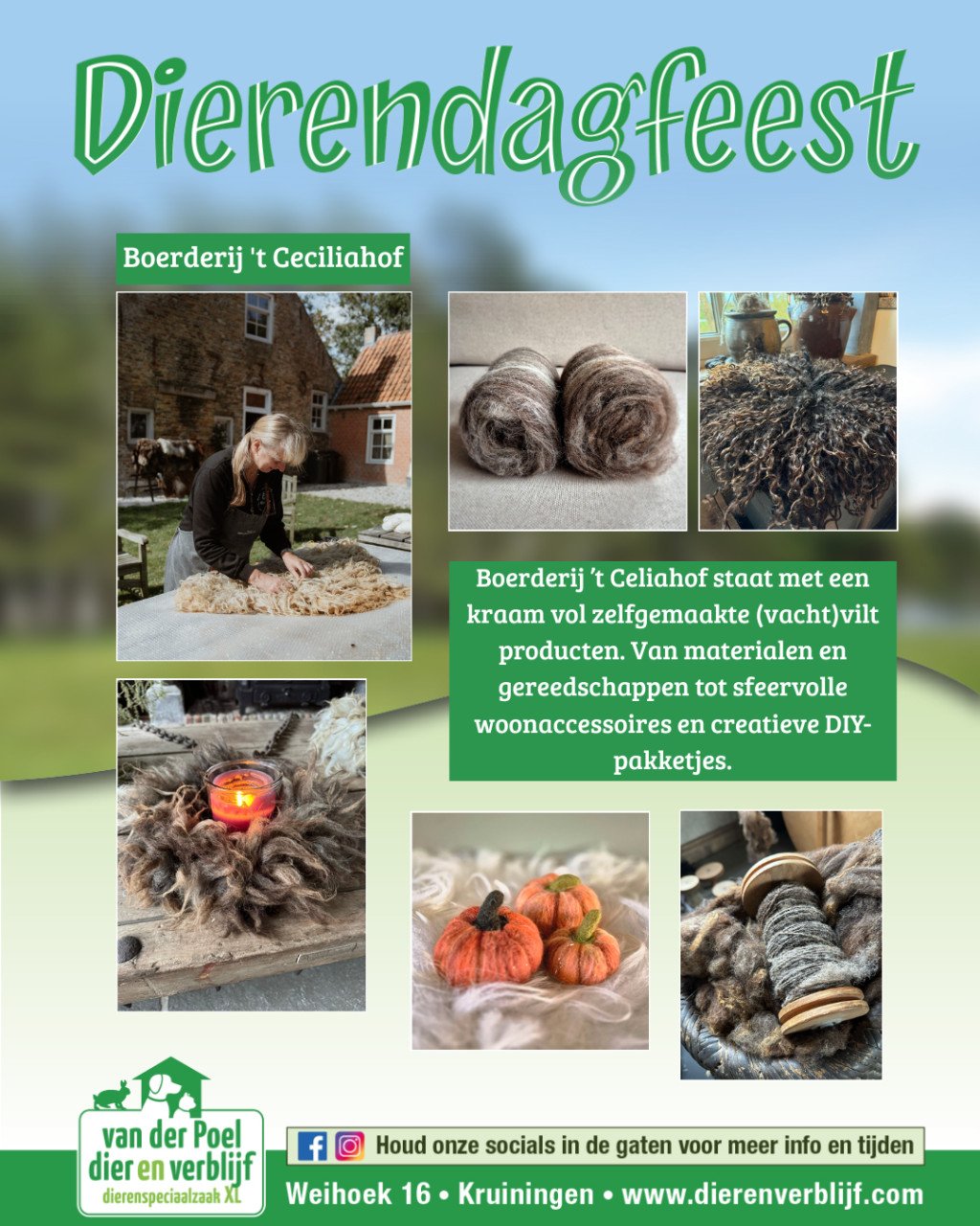 !Dierendagfeest bij Dierenverblijf Van der Poel - 4 oktober!