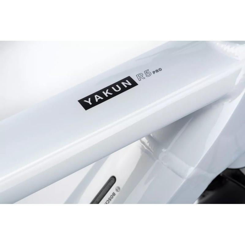 Top Winora Yakun e-bike Bosch met belt en CX smart 750 WH 2000,- korting !!