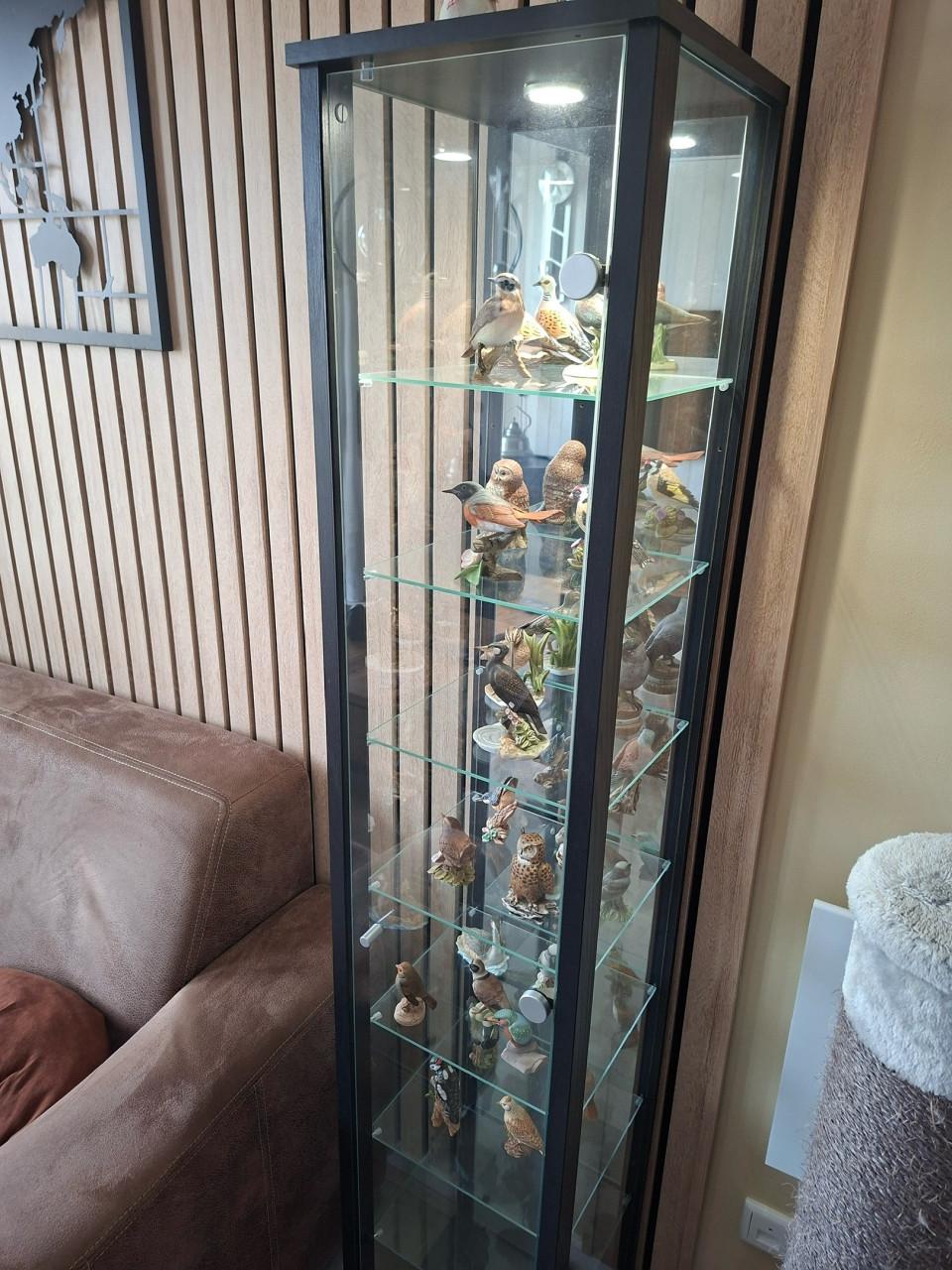 ZWARTE VITRINE KAST