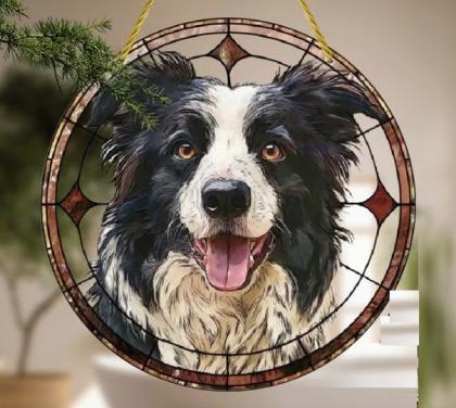 Raamhanger border collie