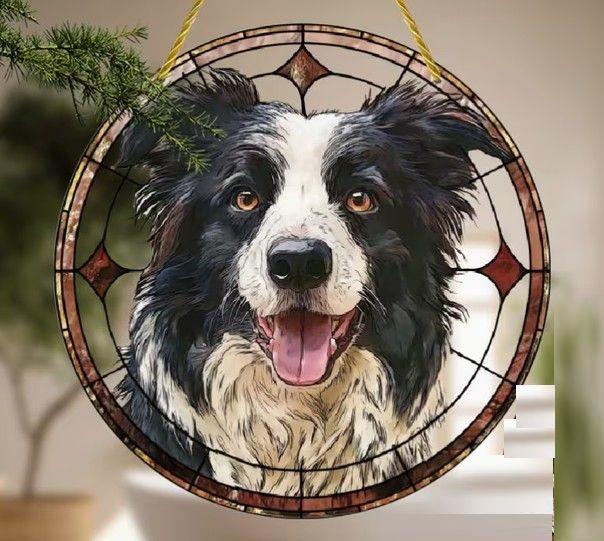 Raamhanger border collie