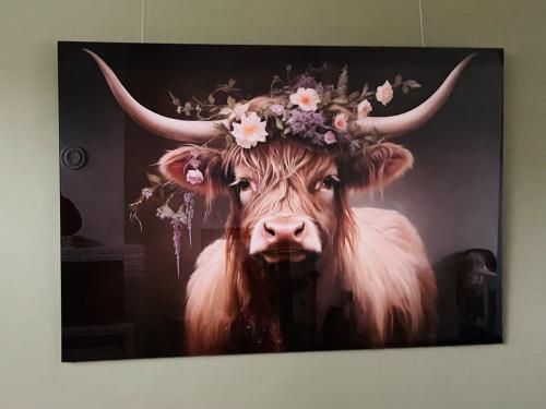 Glas schilderij Hooglander