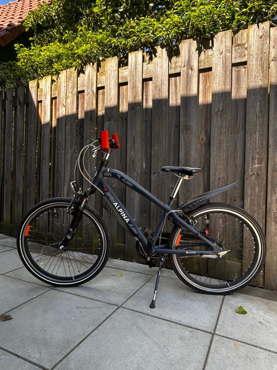 Alpina Trial 24”