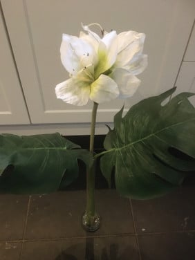 Mooie zijden amaryllis, inclusief glazen vaas. Vaas is 40 cm hoog.