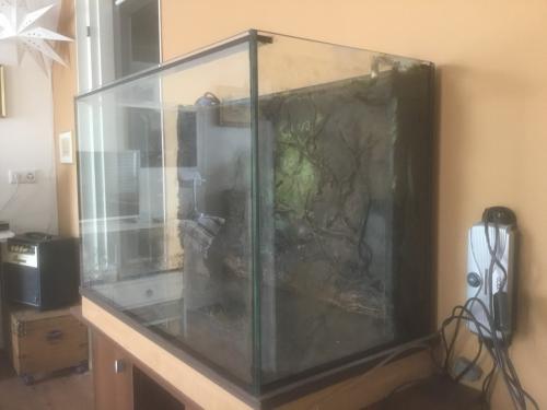 Aangeboden aquarium