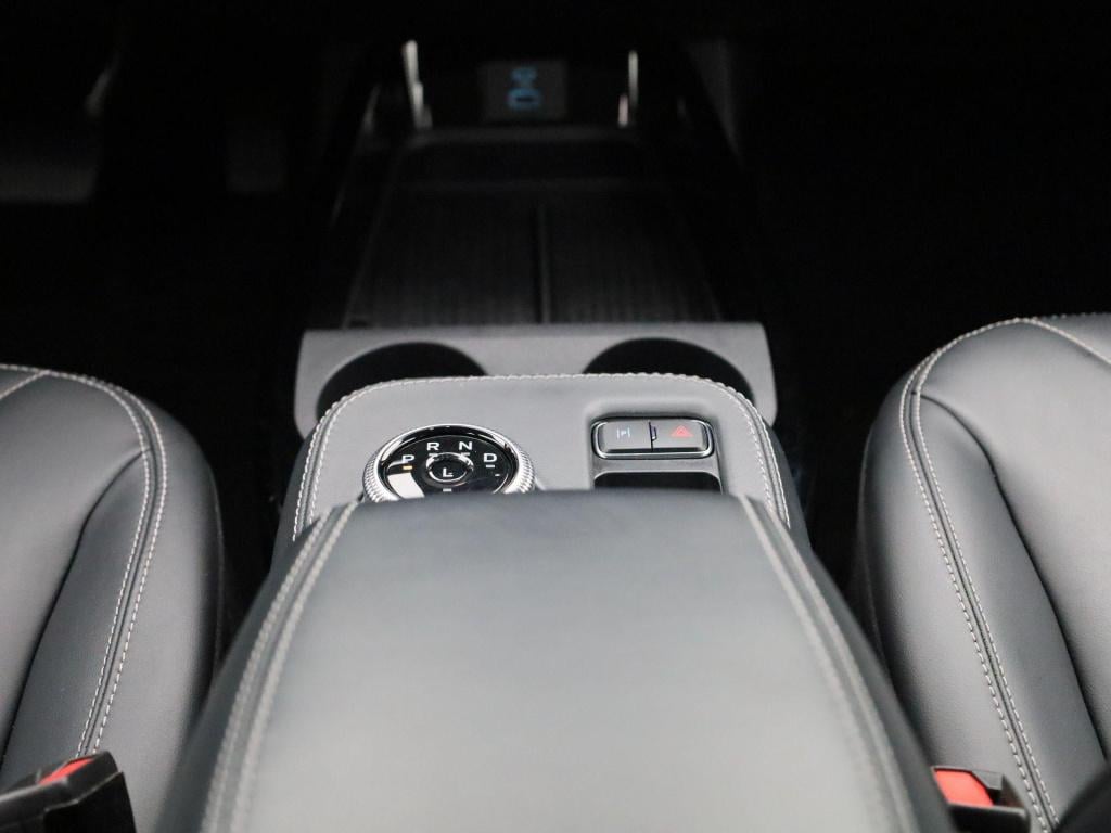 Ford Mustang Mach-e rwd 75 kwh adapt. cruise control - leren bekleding