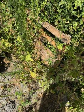 Pallets gratis verschillende maten (brandhout)
