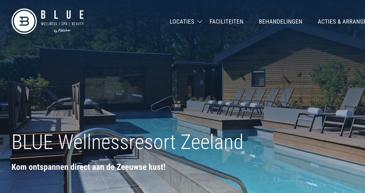 Sauna dagticket Toegang Blue Wellness Kamperland
