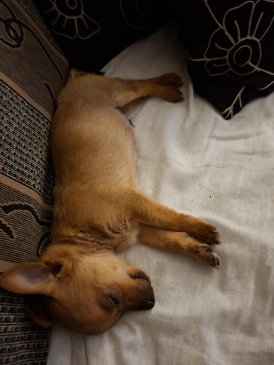 Chiawa reutje geboren 18 september