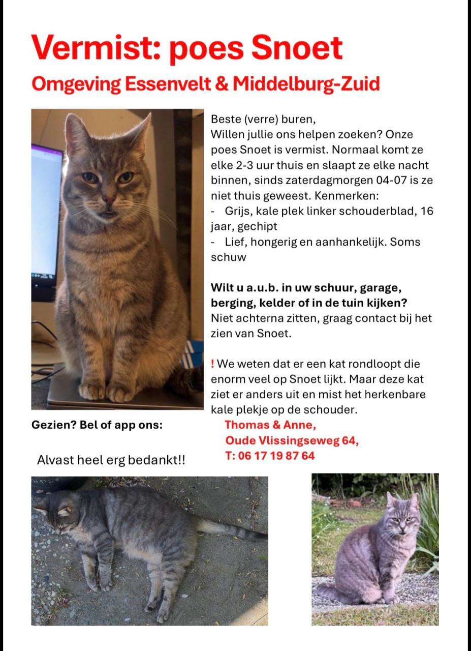 Vermist: poes Snoet