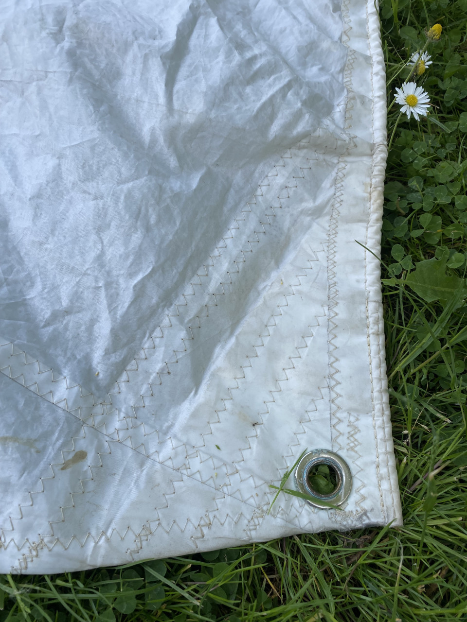 Zeilen van wildflower zeilboot