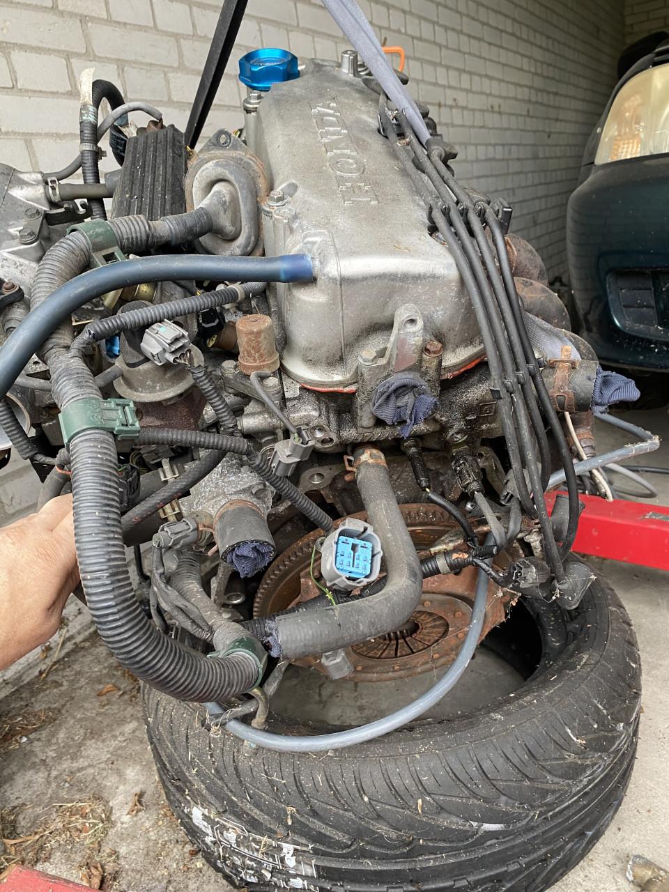 Motorblok Honda d15z6 vtec-e, d15 vtec