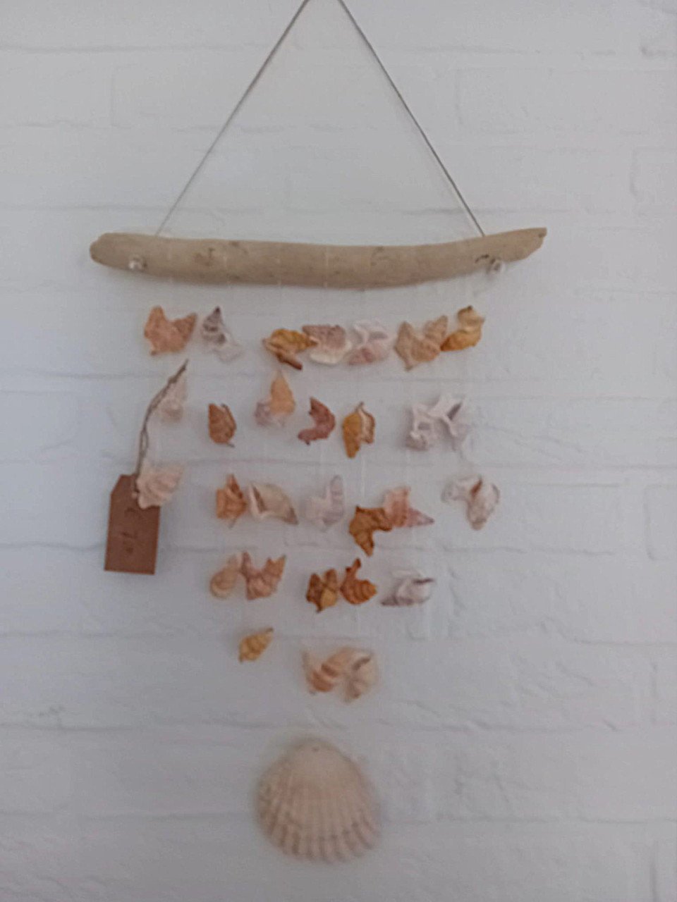 Schelpendecoraties
