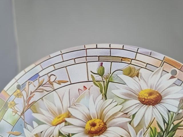 Raamhanger Madeliefjes