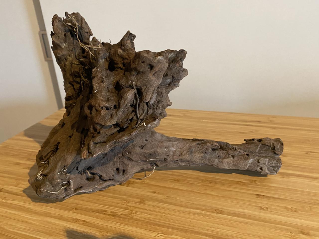 Mangrove hout voor in aquarium