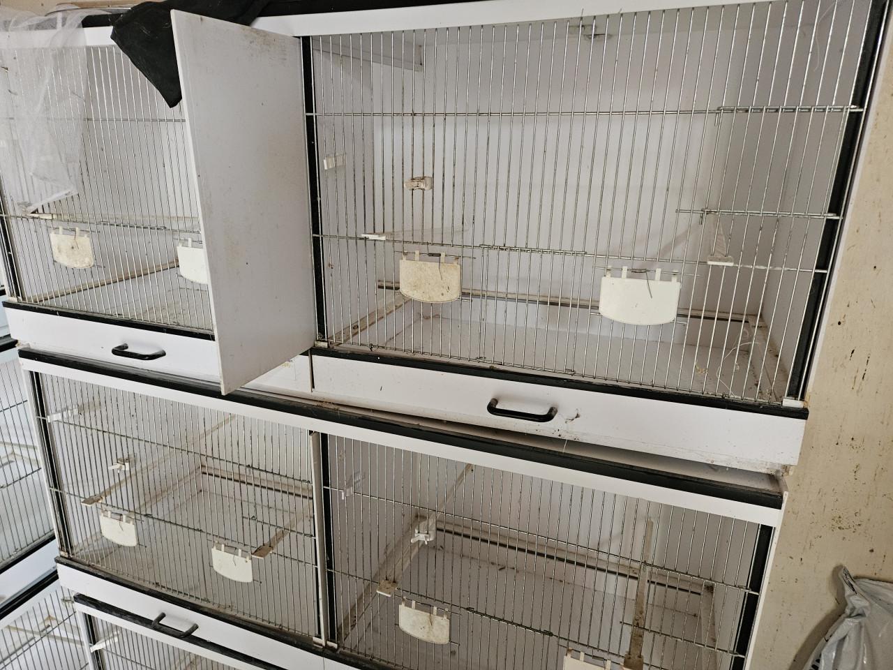 Tekoop vogelkooien