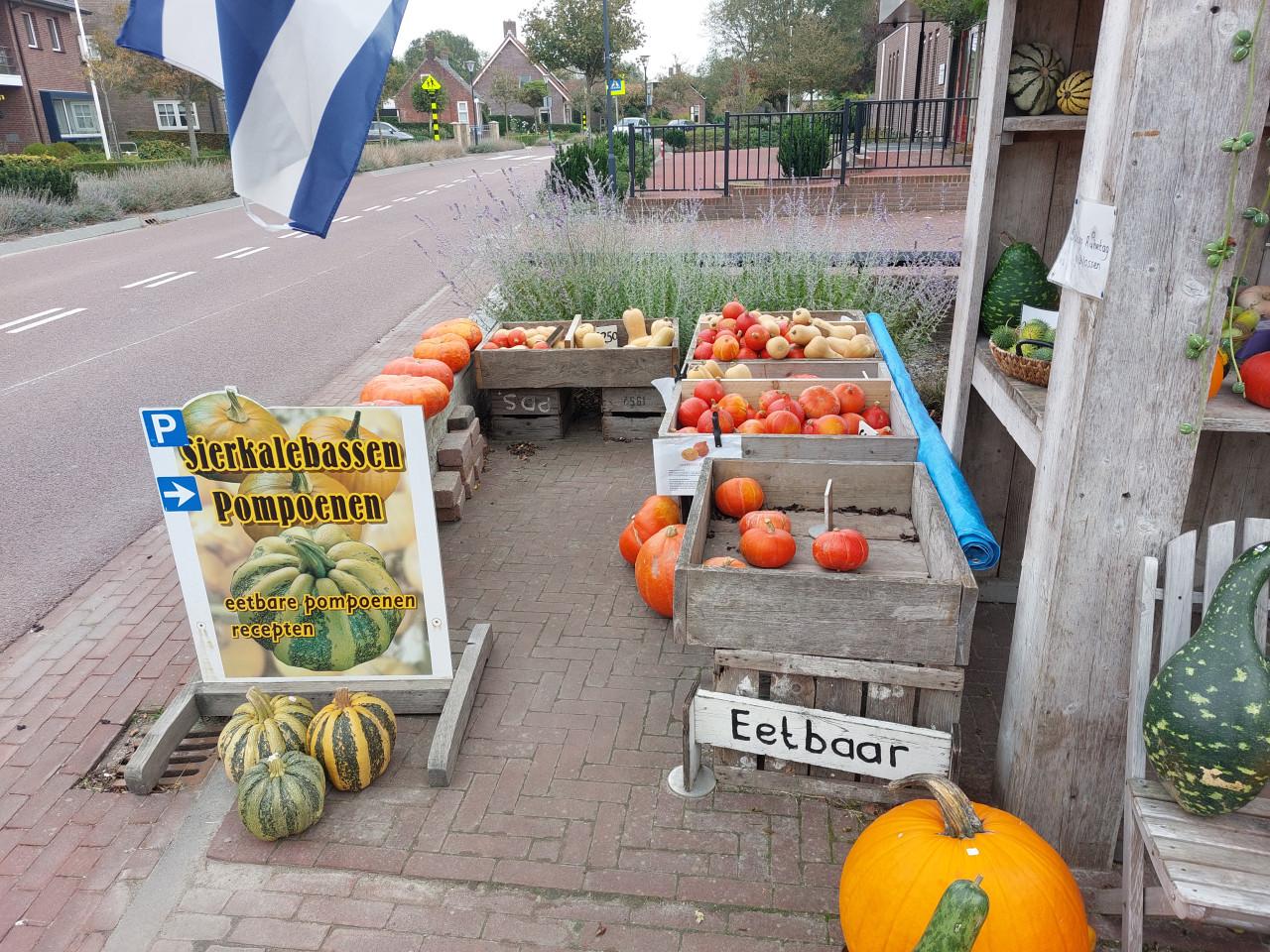 Pompoenen