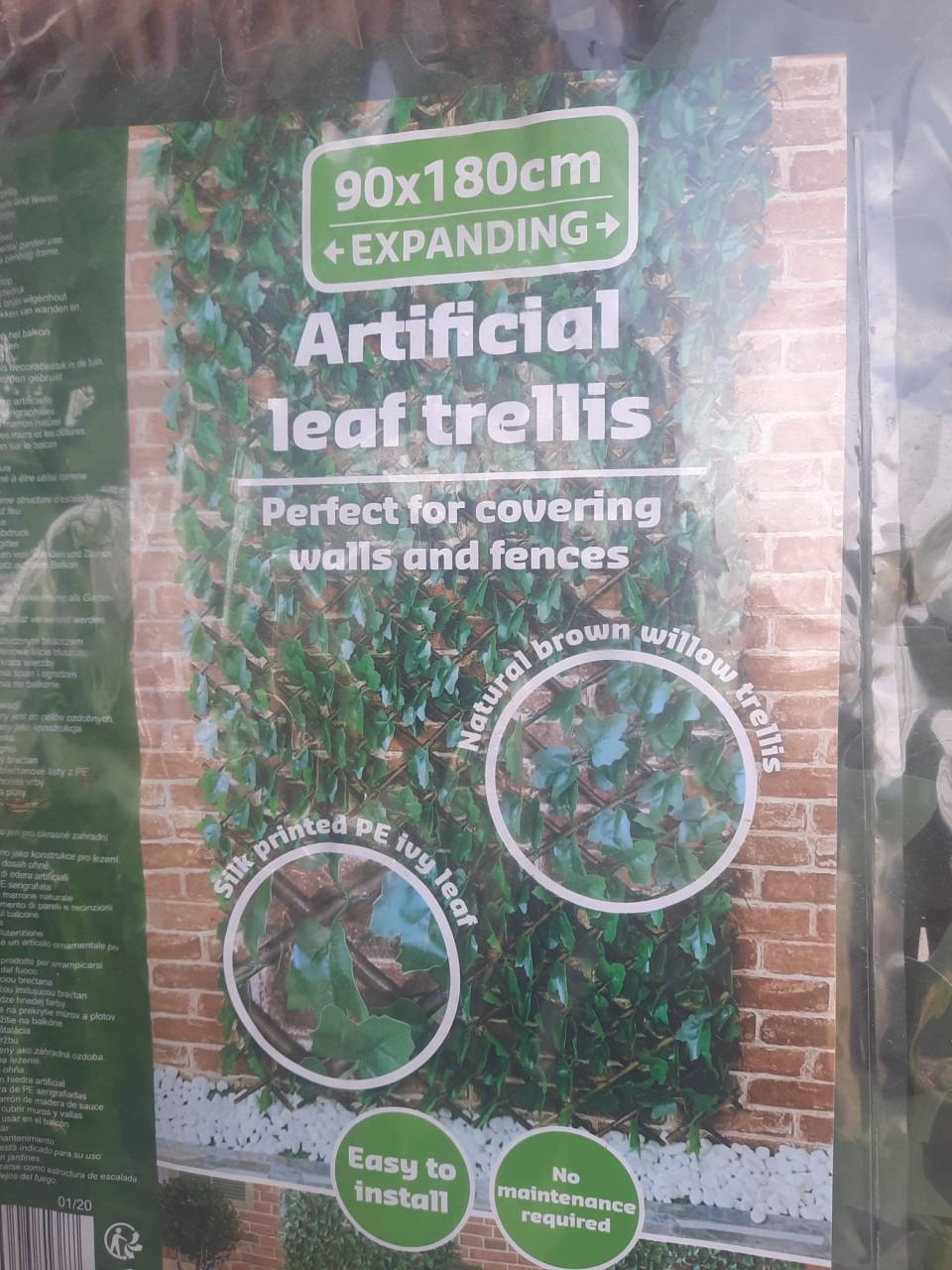 Tuinscherm met kunst klimop