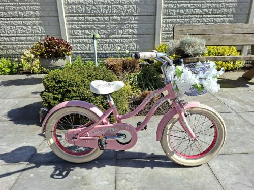 Meisjes kinder fiets