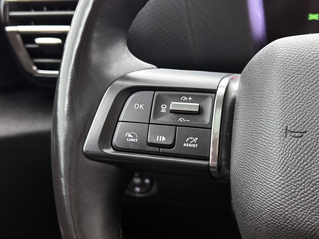 Citroen Ë-c4 shine 50 kwh | rijklaar | 3 fase | panorama dak | leer |