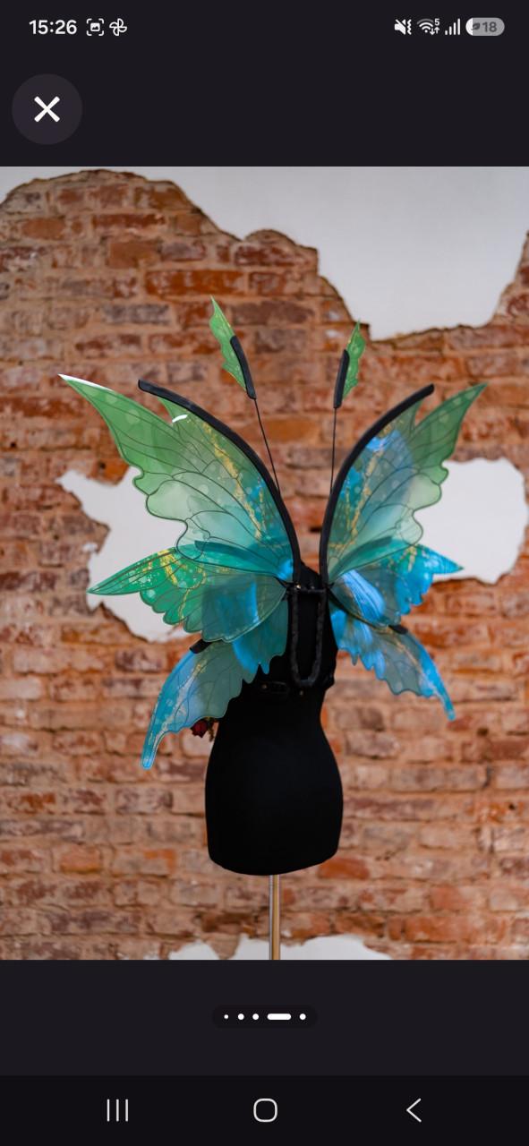 Fairy wings cosplay