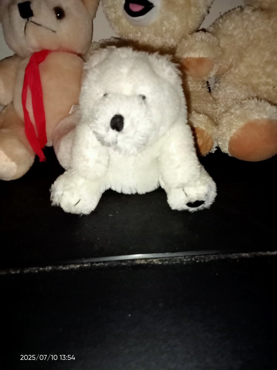 Knuffel beren en beesten