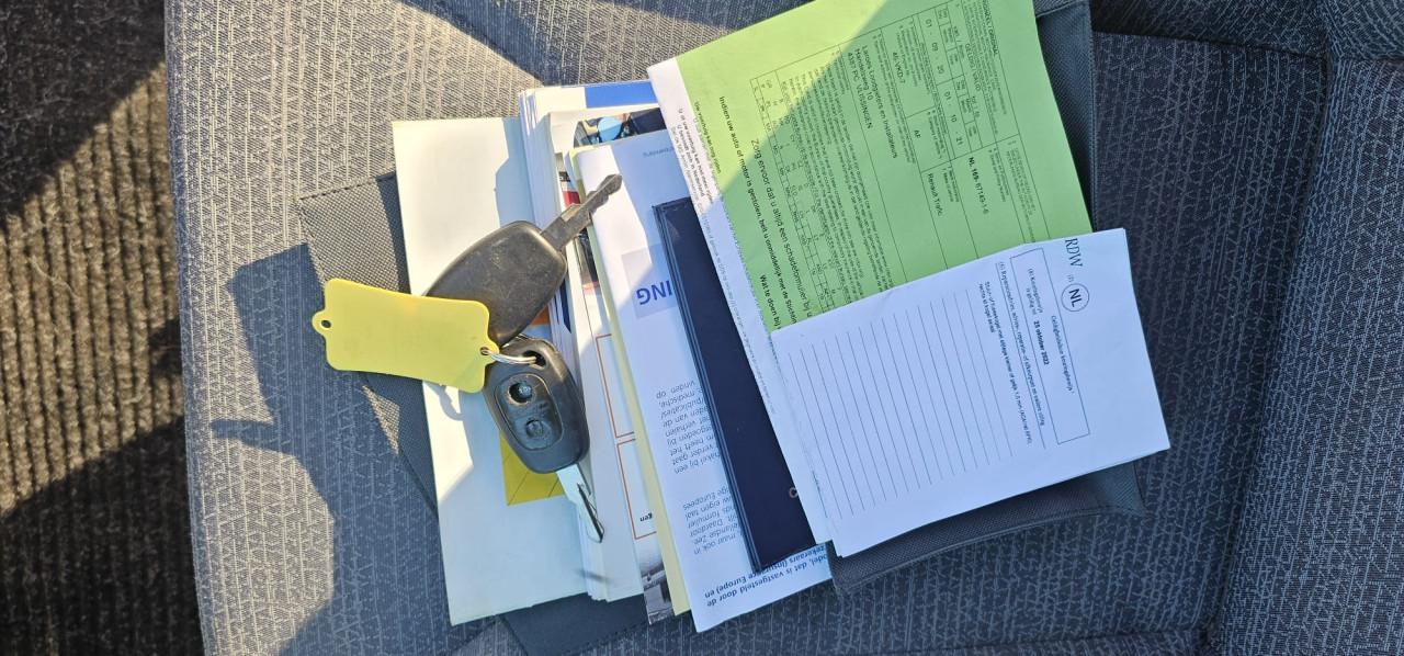 Renault Trafic 2.0 Dci T27 L1H1 Generiqeu 1 ste eigenaar!