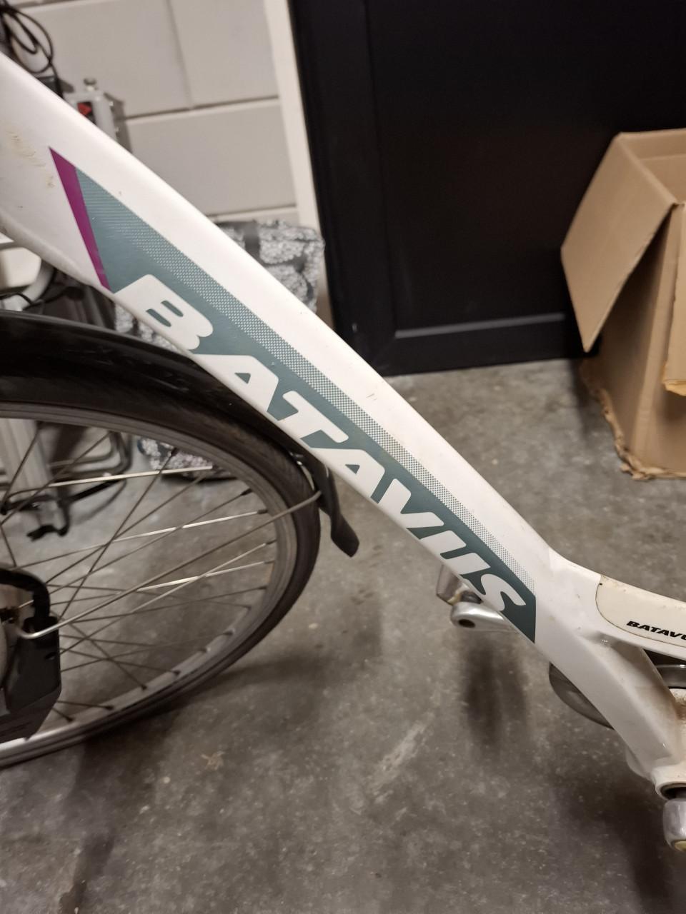 Elektrische damesfiets opknapper