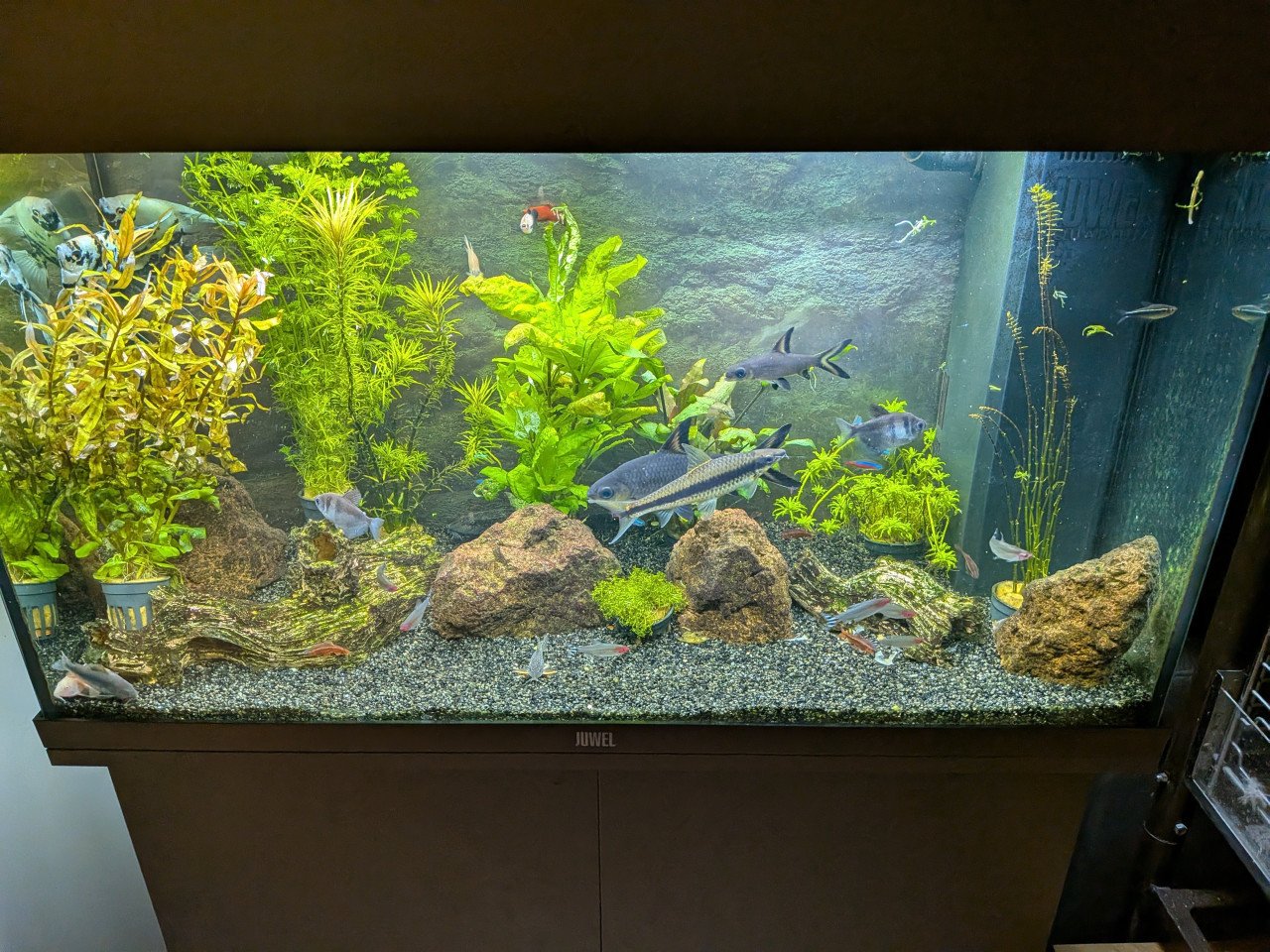 Aquarium