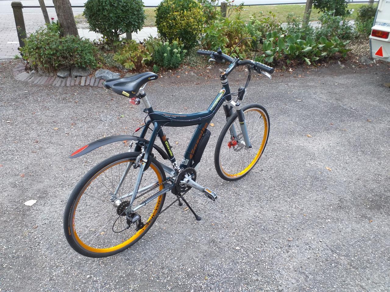 """GAZELLE IMPULS"" Y "" FRAME SPECIAAL GAZELLE DESIGN""""