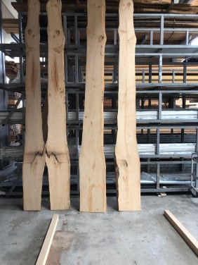 Amberboom boomstambladen ong 400 lang alles voor 100 euro