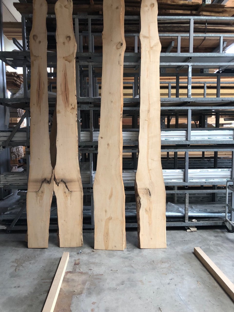 Amberboom boomstambladen ong 400 lang alles voor 100 euro