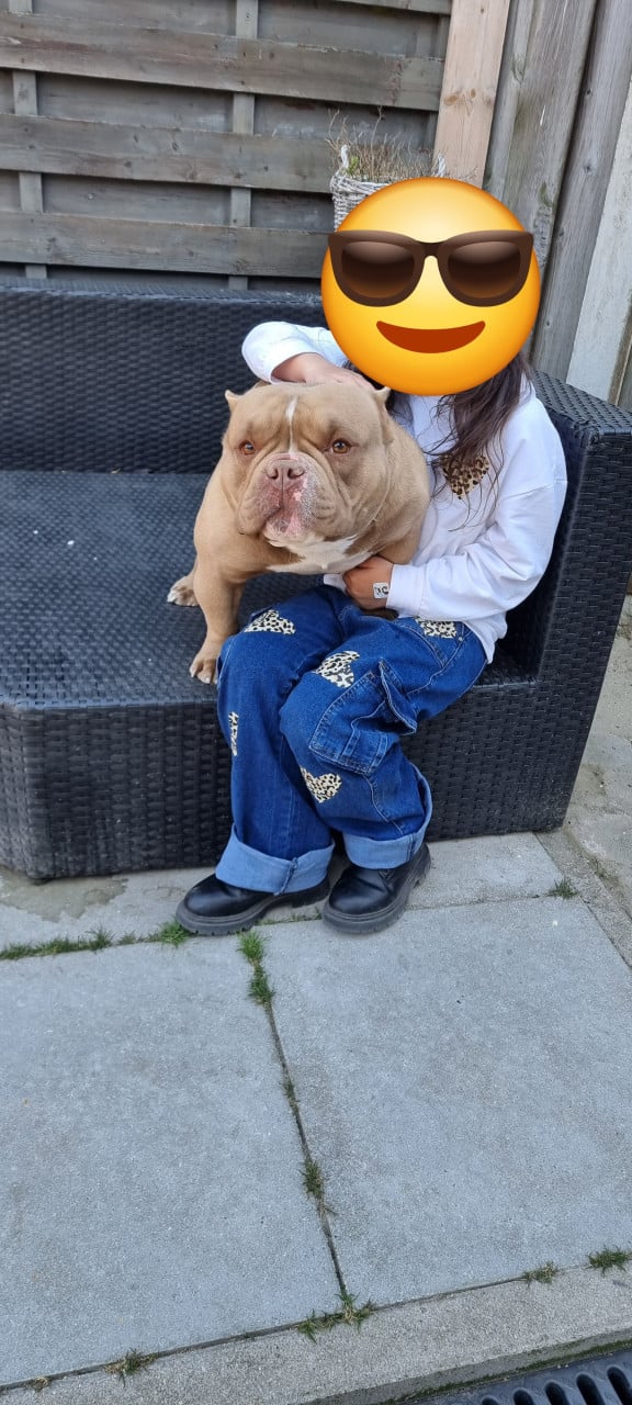 Micro Bully