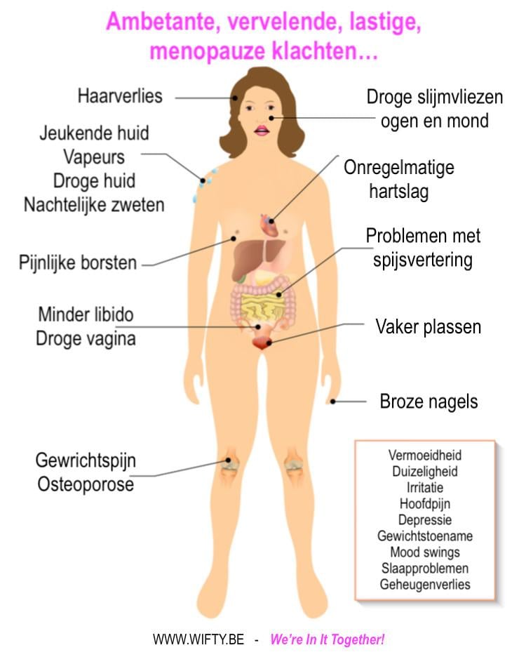 MEDITATIE om tijdens de OVERGANG  rust en balans te vinden!