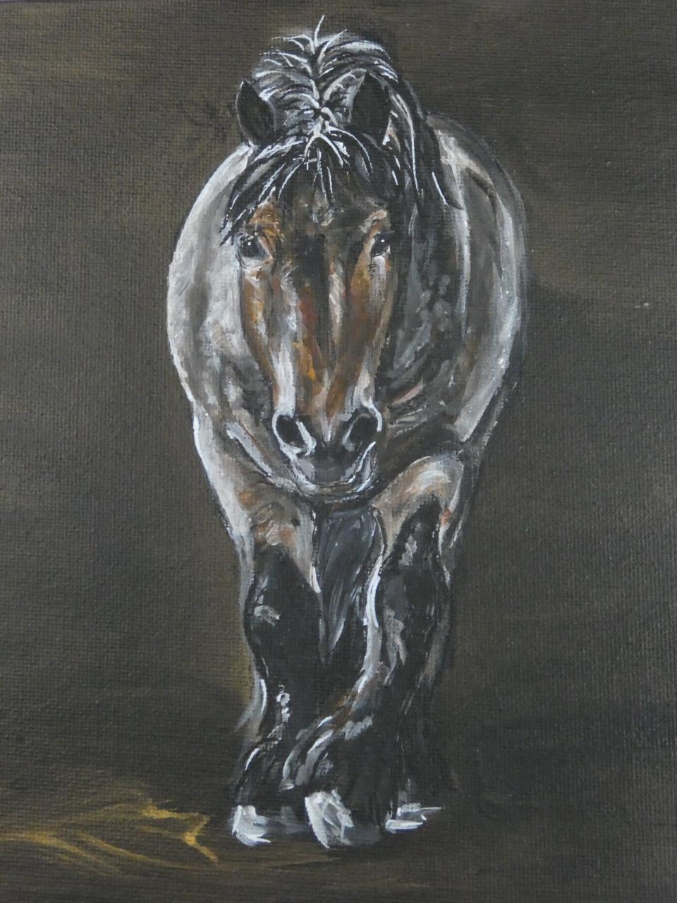 Aanbieding februari - portret van je huisdier vanaf € 50,00