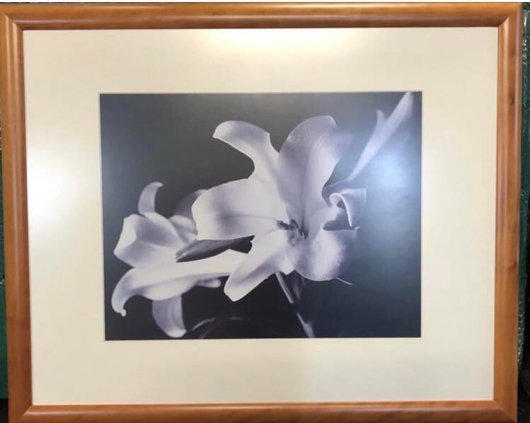 Prachtig ingelijst schilderij/fotoprint van tulpen in zwart-wit