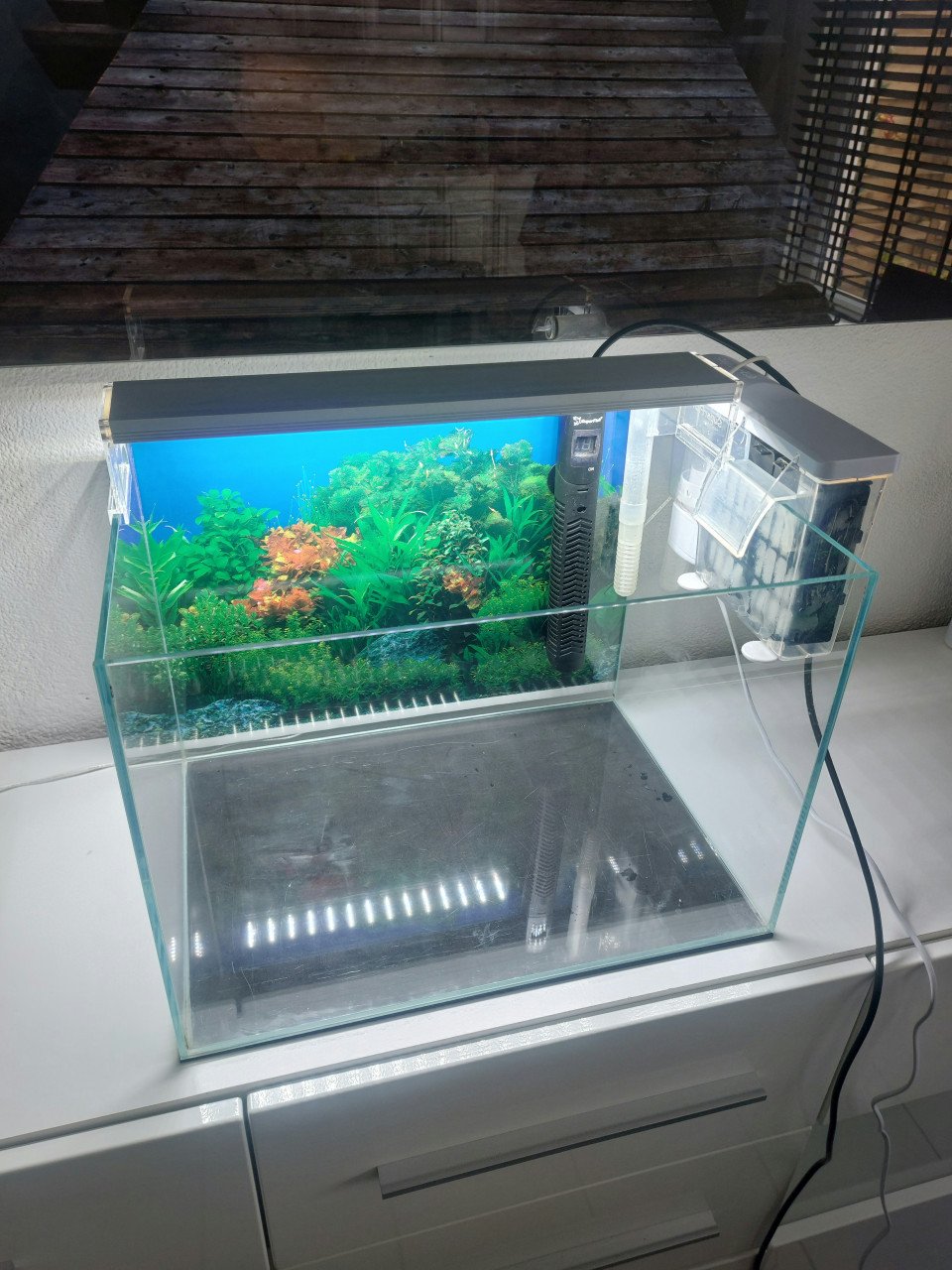 Aquarium