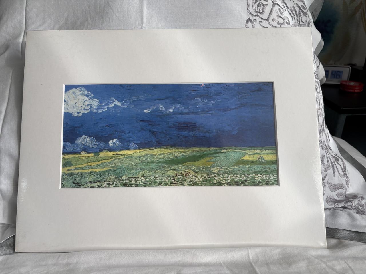Van Gogh prints met passe partout