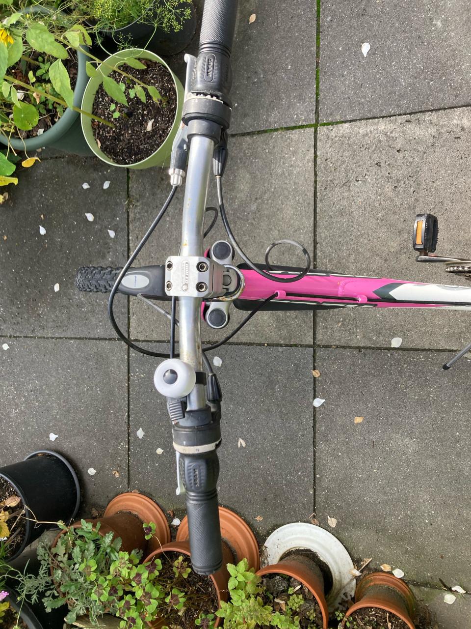 Kinderfiets merk Trek roze en wit 24 inch