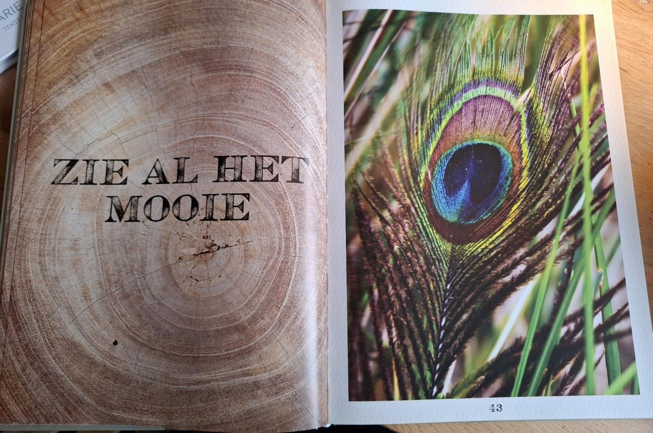 Pluk de dag, door Frans Schrik