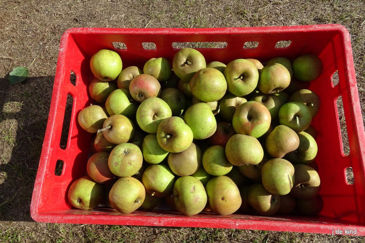 Appels