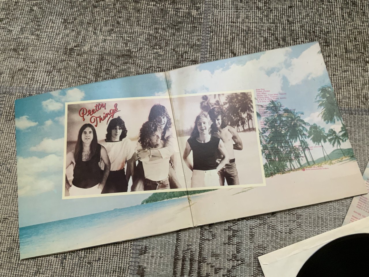 Silk Torpedo PRETTY THINGS