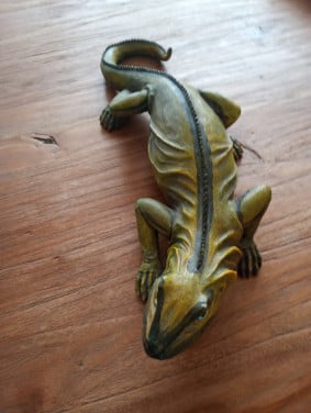 Decoratie  leguaan