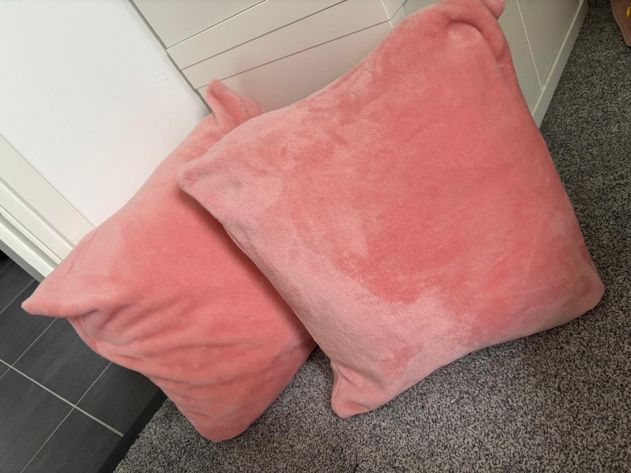 Te koop: 2 kussens