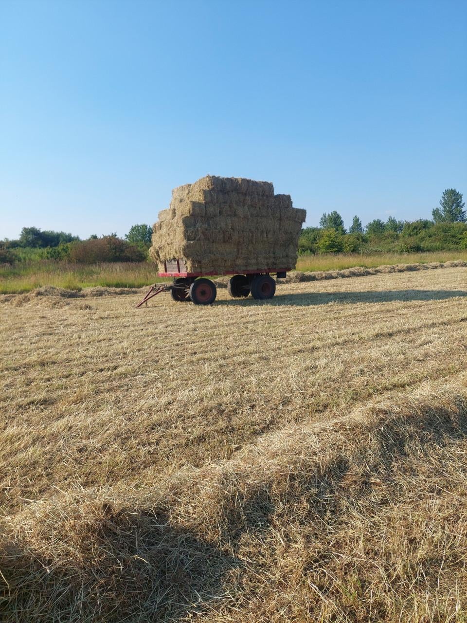 Te Koop kleine pakjes hooi