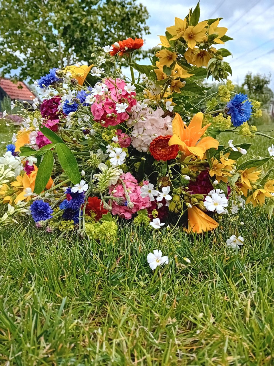 Bloemen
