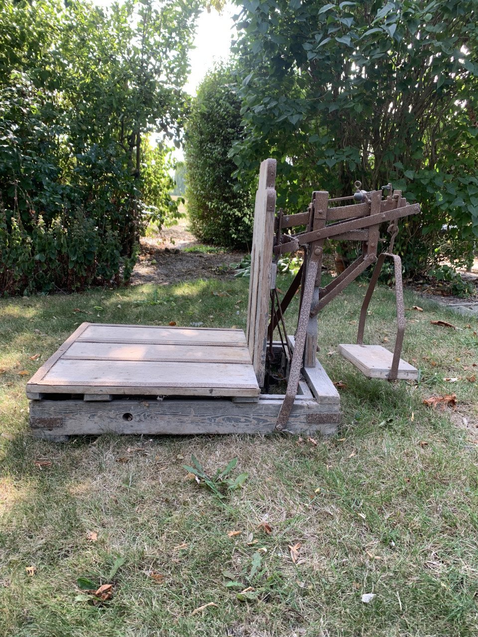 Bascule