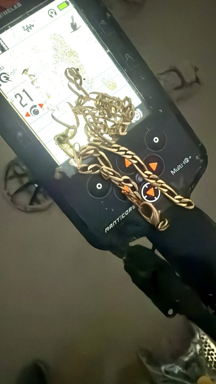 De Beste Strand metaaldetector. Minelab Manticore