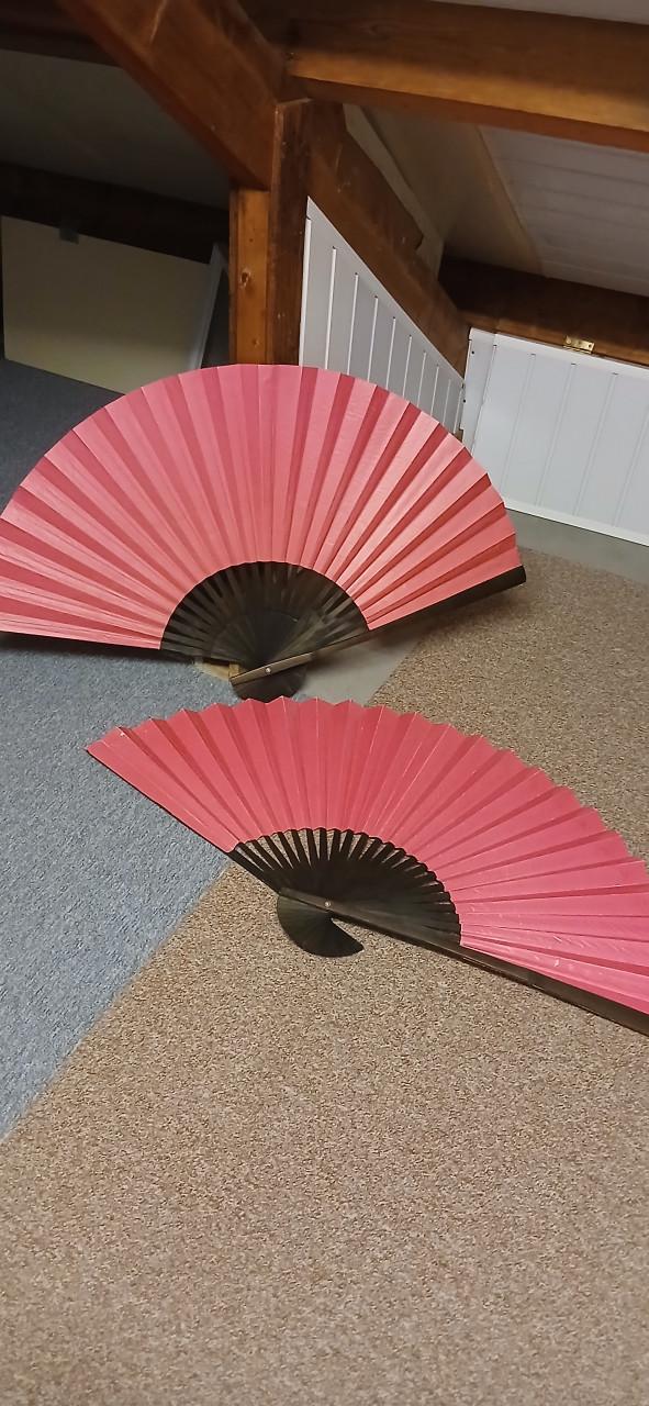 2  mooie Grote roze waaiers